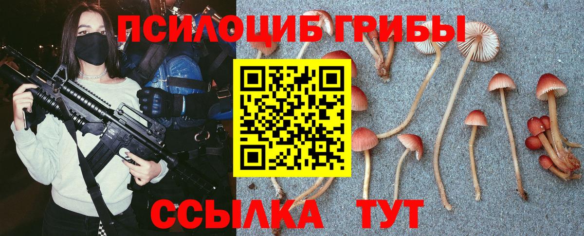 Галлюциногенные грибы прущие грибы  Вход с VPN  Галлюциногенные грибы Psilocybe  Горно-Алтайск 