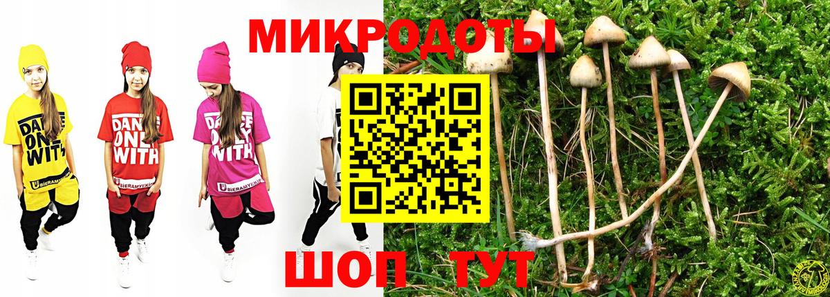 Галлюциногенные грибы MAGIC MUSHROOMS Горно-Алтайск